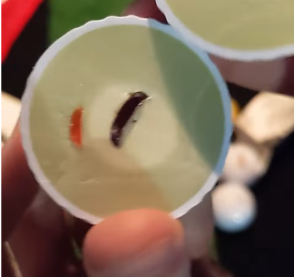 RFID Golf Ball showing embedded chip technology